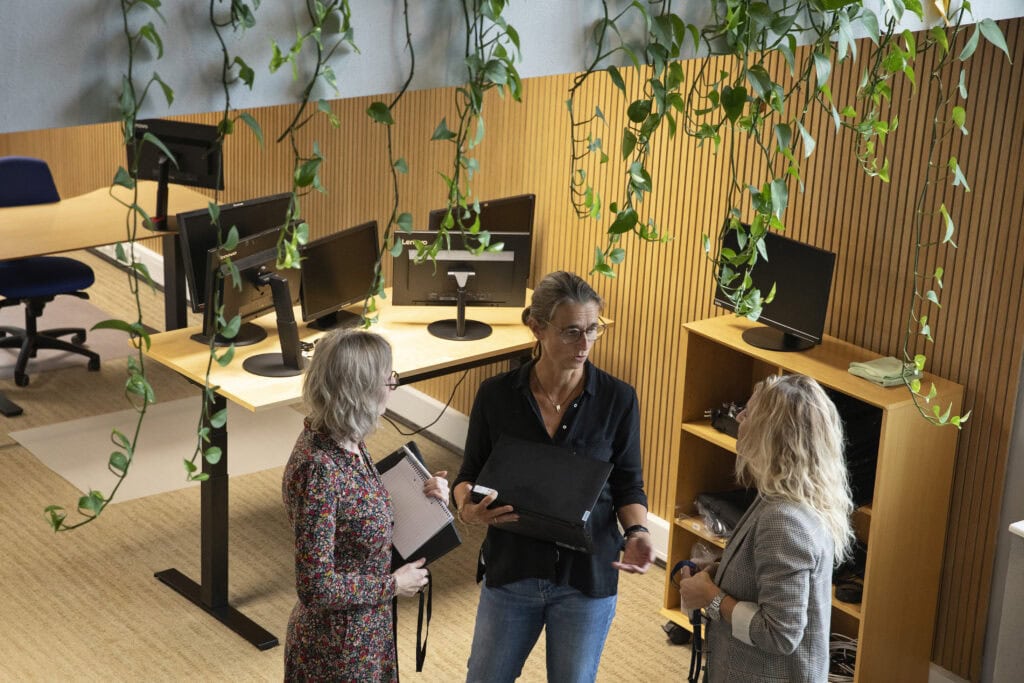 Klifo, Glostrup. 07/10-2025